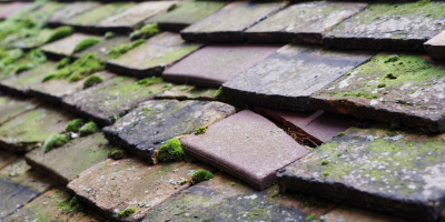 Hangleton roof repair costs